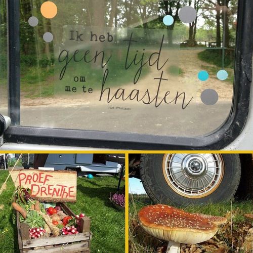 Herfst Drenthe kamperen collage 1