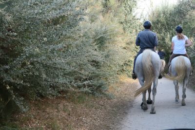 paardrijden Camargue