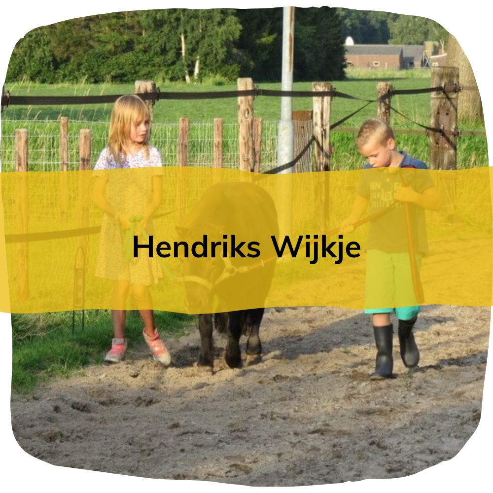 Familiecamping Hendriks Wijkje Pony