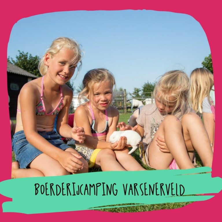 Boerderijcamping Varsenerveld
