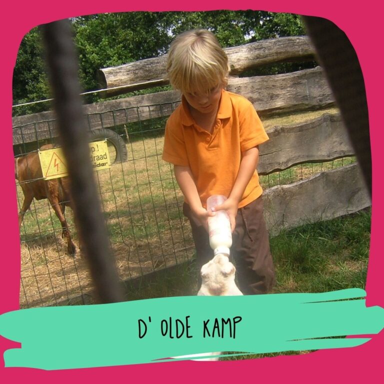 D' olde kamp