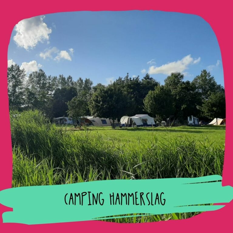 Camping Hammerslag
