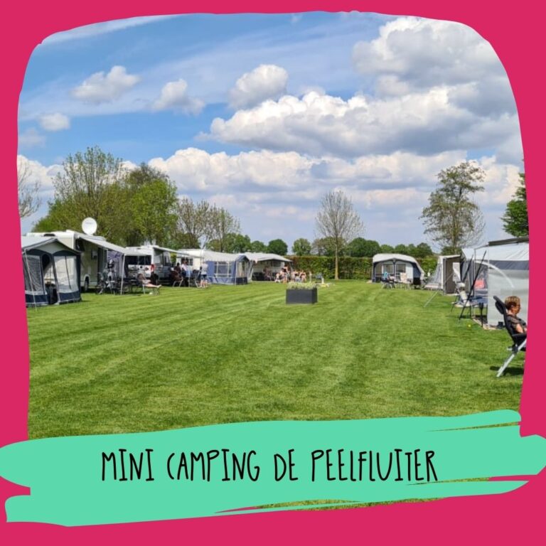 Mini Camping de Peelfluiter