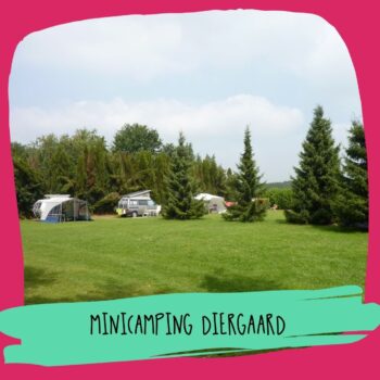 Minicamping Diergaard