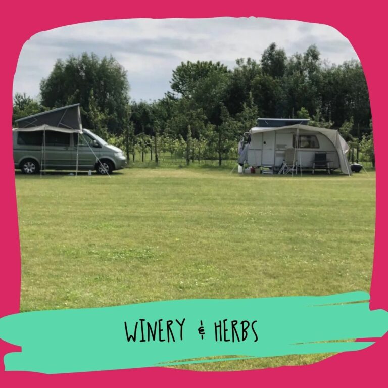 Winery & Herbs