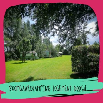 Boomgaardcamping Logement Doosje