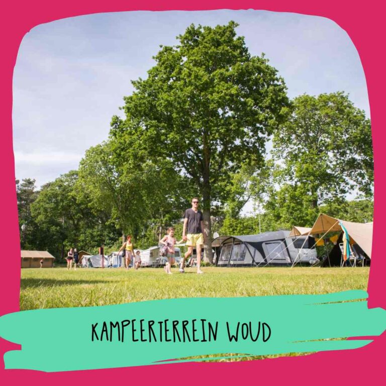 Kampeerterrein Woud