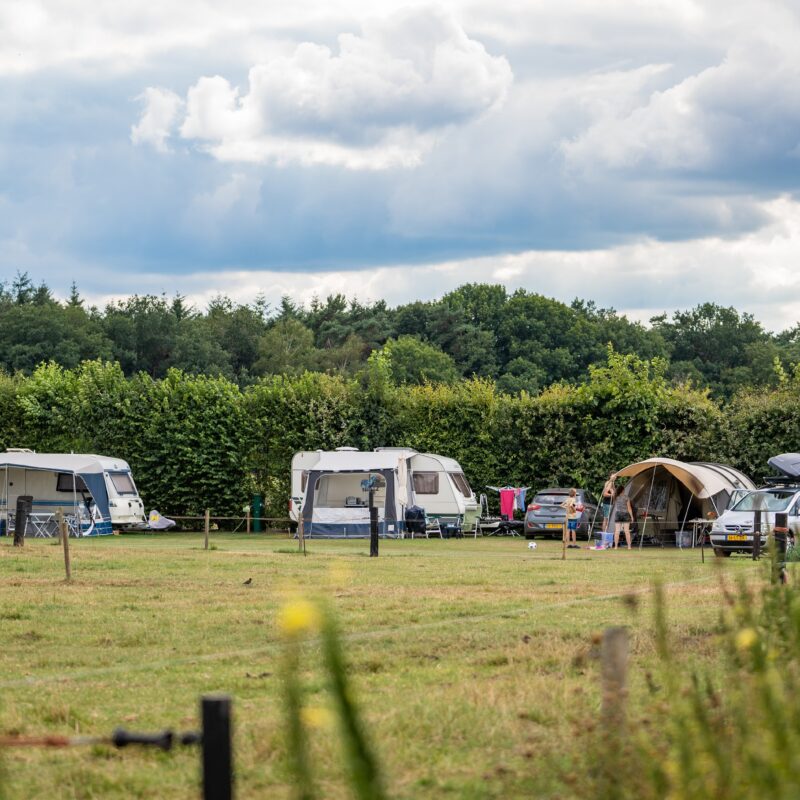 Boerderijcamping Varsenerveld - Overijssel - Open Camping Dag