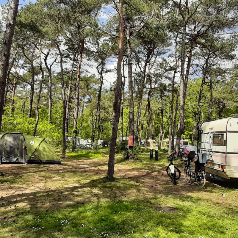 Bospark Langeloërduinen - Drenthe - Open Camping dag