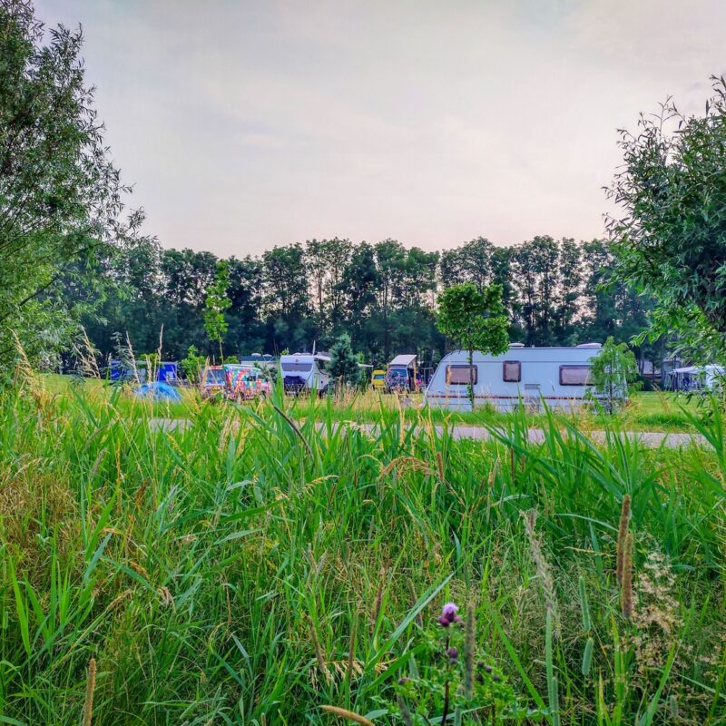 Camping Oldershof - Noord-Brabant - Open Camping Dag