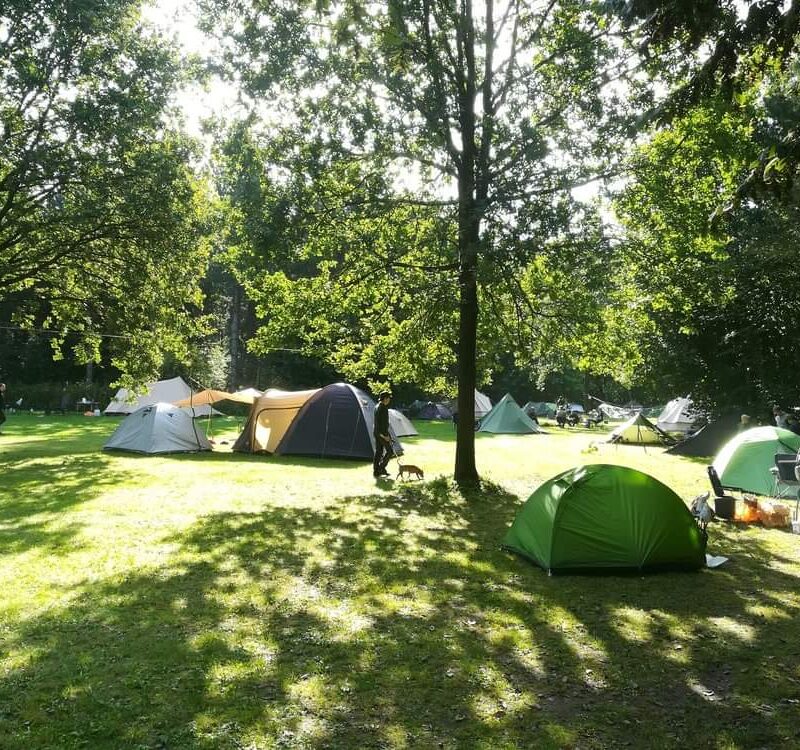 Natuurcamping De Altena - Flevoland - Open Camping Dag