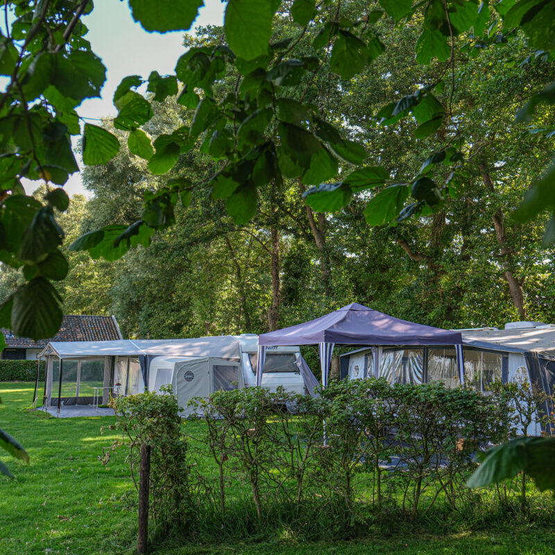 Museumboerderij Mariahoeve - Gelderland - Open Camping Dag