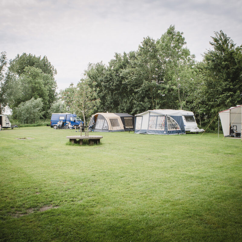 Minicamping de Stille Verkwikking - Overijssel - Open Camping Dag