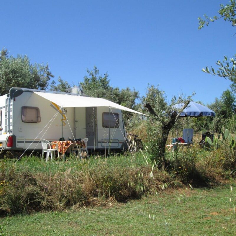 Camping Quinta da Cerejeira - Portugal - Open Camping Dag