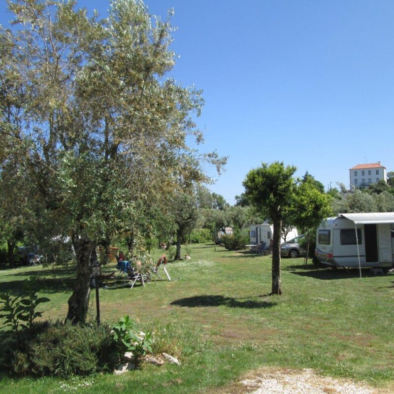 Camping Quinta da Cerejeira - Portugal - Open Camping Dag