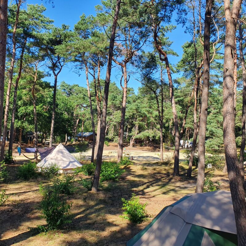 Camping Het Horstmannsbos - Drenthe
