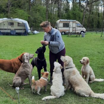 Hondencamping Evensterk - Drenthe - Open Camping Dag