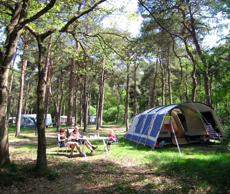 Bospark Langeloërduinen - Drenthe - Open Camping dag