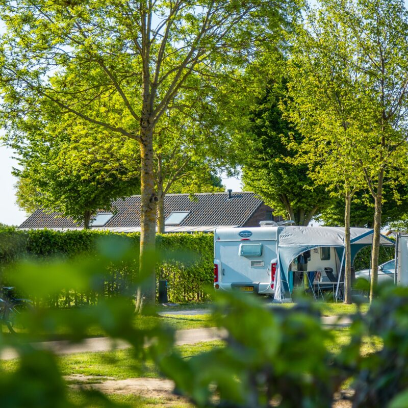 EuroParcs Poort van Maastricht - Limburg - Open Camping Dag