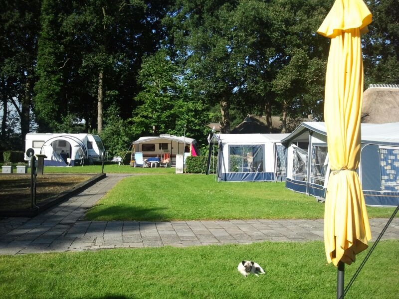 Niezinghoeve - Drenthe - Open Camping Dag