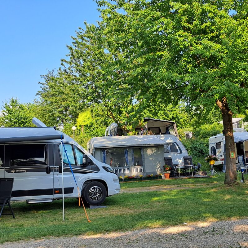 Camping De Bosrand (Limburg) - Open Camping Dag