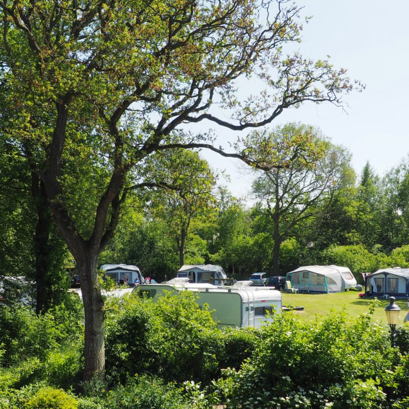 Recreatiepark De Bosrand - Friesland - Open Camping Dag