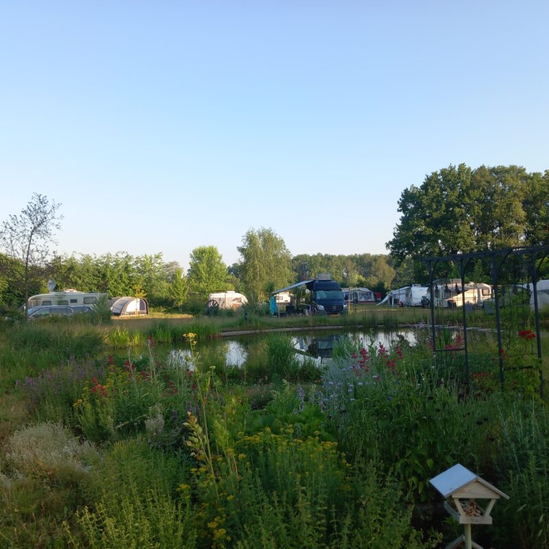 Mini-camping Hoeve Boord Ven - Noord-Brabant - Open Camping Dag