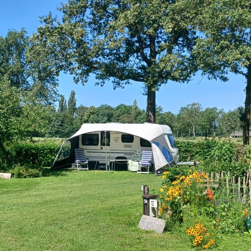 Erve Hesselink - Gelderland - Open Camping Dag