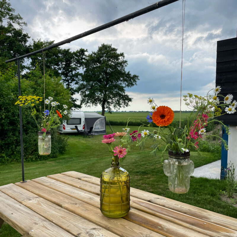 Minicamping De Frije Fries - Friesland - Open Camping Dag