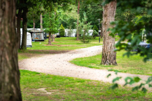 Bos Park Bilthoven - Utrecht - Open Camping Dag