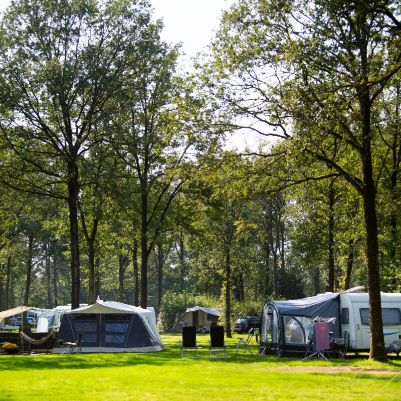 Park Drentheland - Drenthe - Open Camping Dag