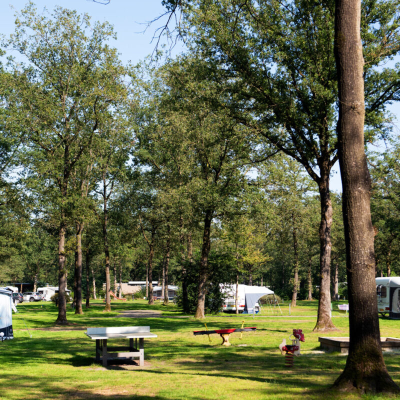 Park Drentheland - Drenthe - Open Camping Dag