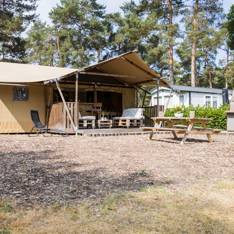 Kampeerbos De Simonshoek - Limburg - Open Camping Dag