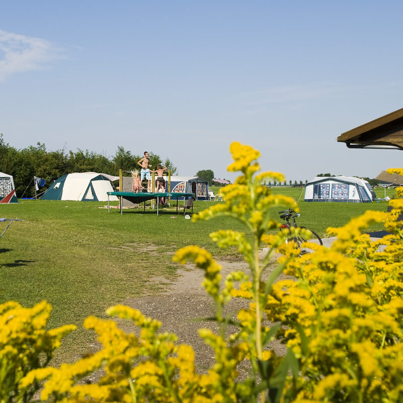 Recreatiebedrijf de Blikvaart - Friesland - Open Camping Dag