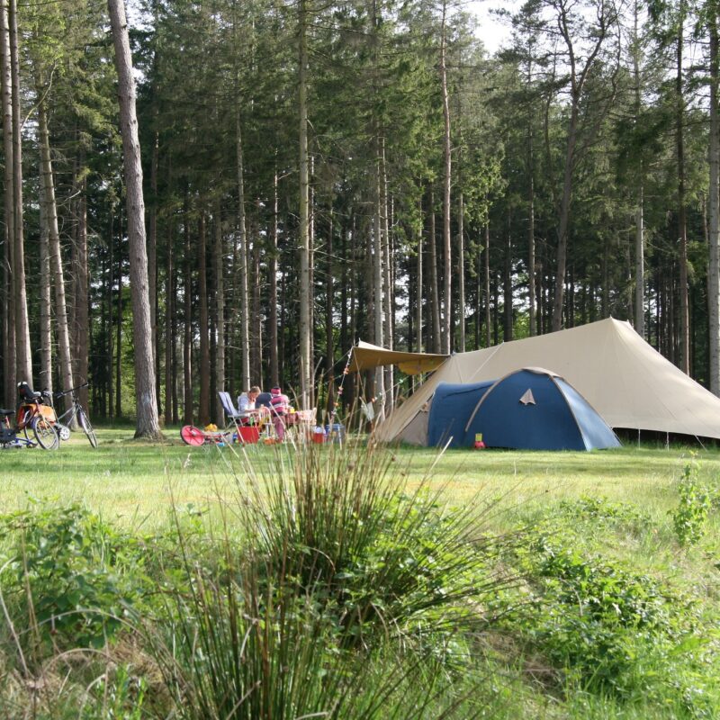 Camping Torentjeshoek - Drenthe - Open Camping Dag