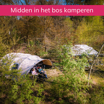 Camping Diever in Drenthe