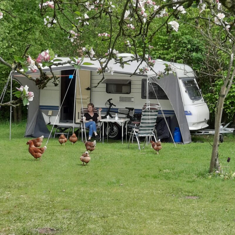 Camping Jena - Gelderland - Open Camping Dag