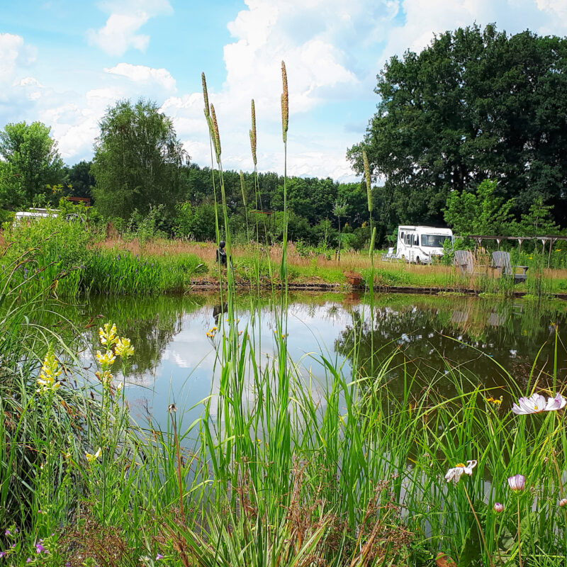 Mini-camping Hoeve Boord Ven - Noord-Brabant - Open Camping Dag