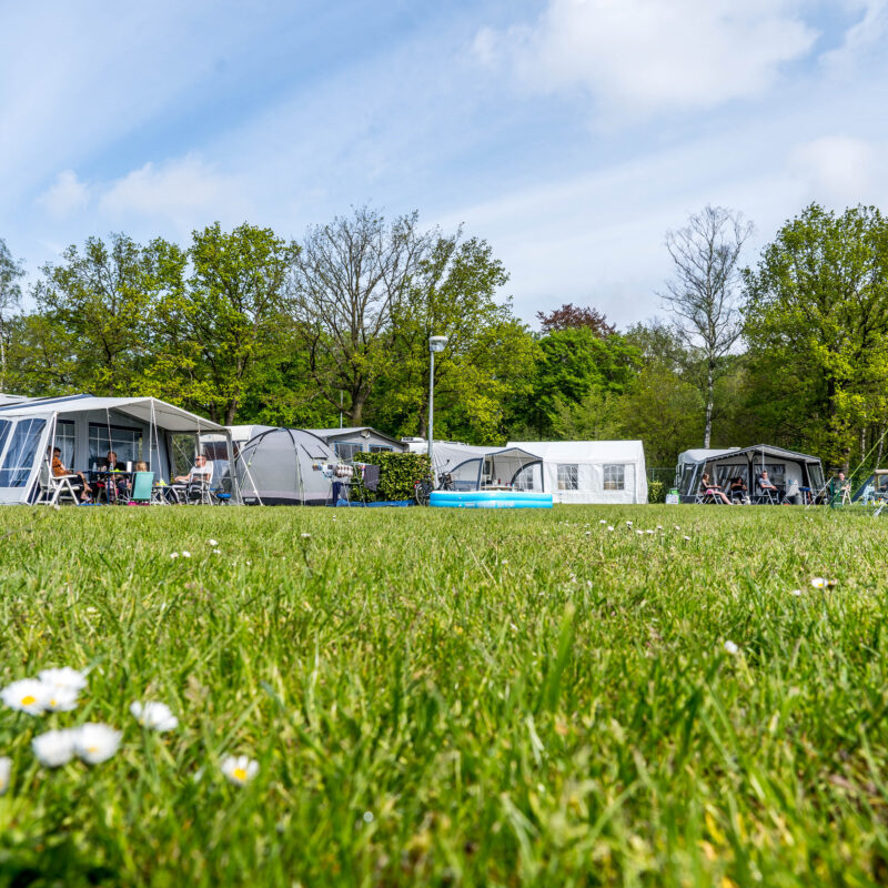 't Haasje recreatiepark - Noord-Brabant - Open Camping Dag
