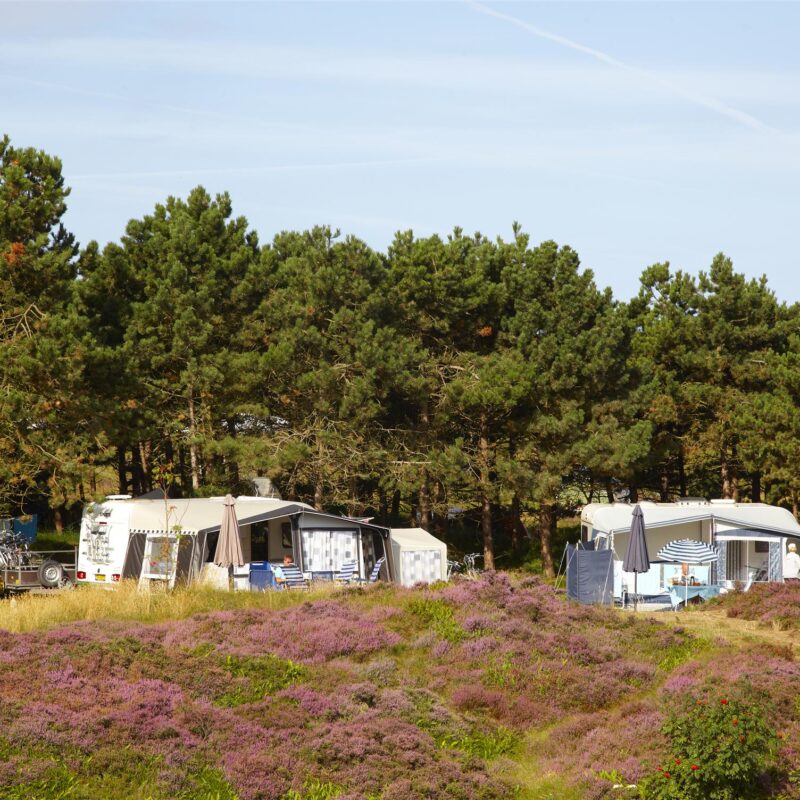 Camping Loodsmansduin Texel - Noord-Holland - Open Camping Dag