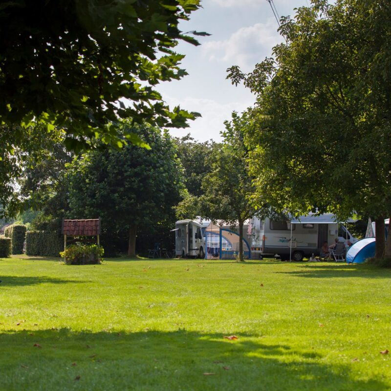 De Vetweide - Gelderland - Open Camping Dag