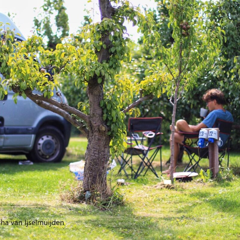 Minicamping De Kampeertuin - Noord-Holland - Open Camping Dag