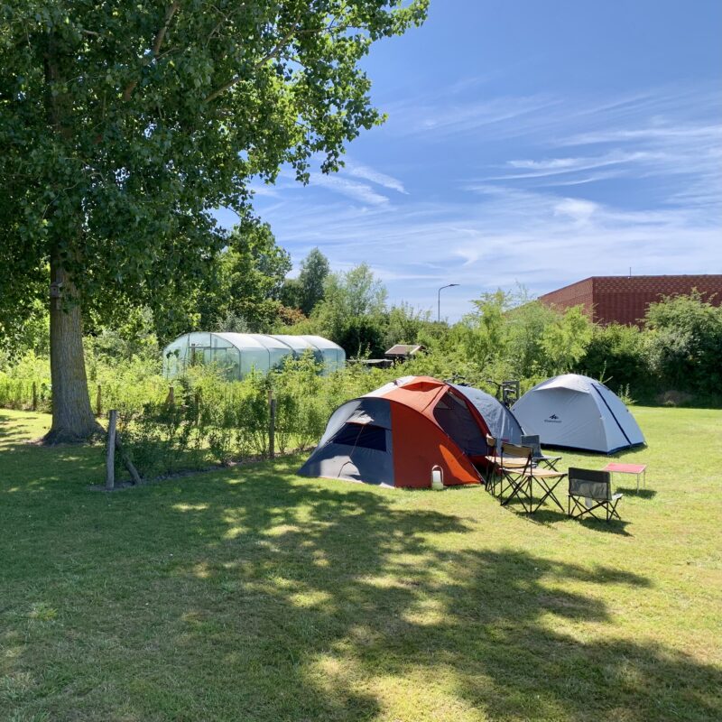 Camping Annahoeve - Zeeland - Open Camping Dag