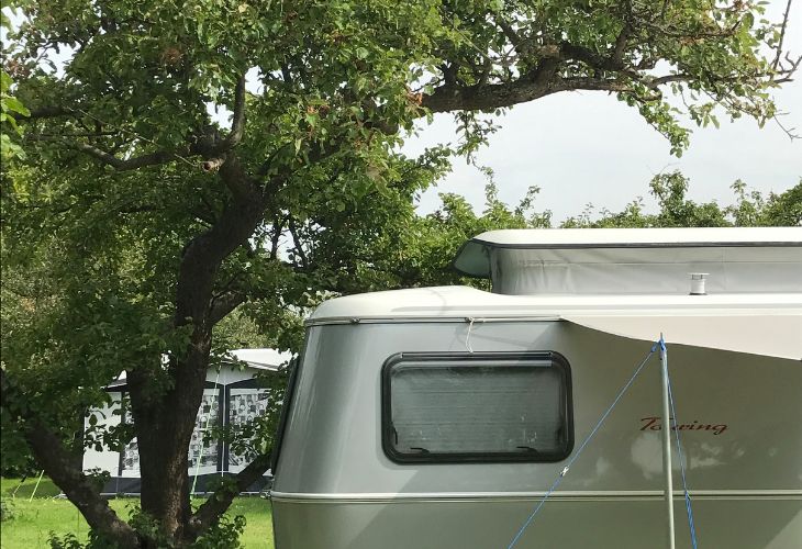 campings bij tulpen