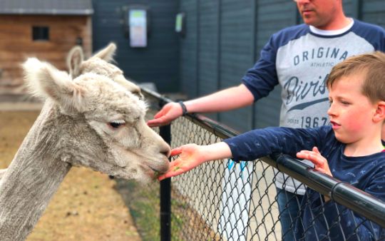 Camping de Achterste Hoef in Bladel
