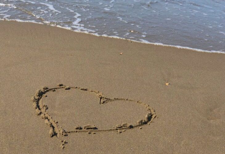 boerencamping bij strand noord holland