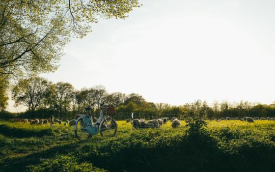 Een maand werken en wonen op een camping